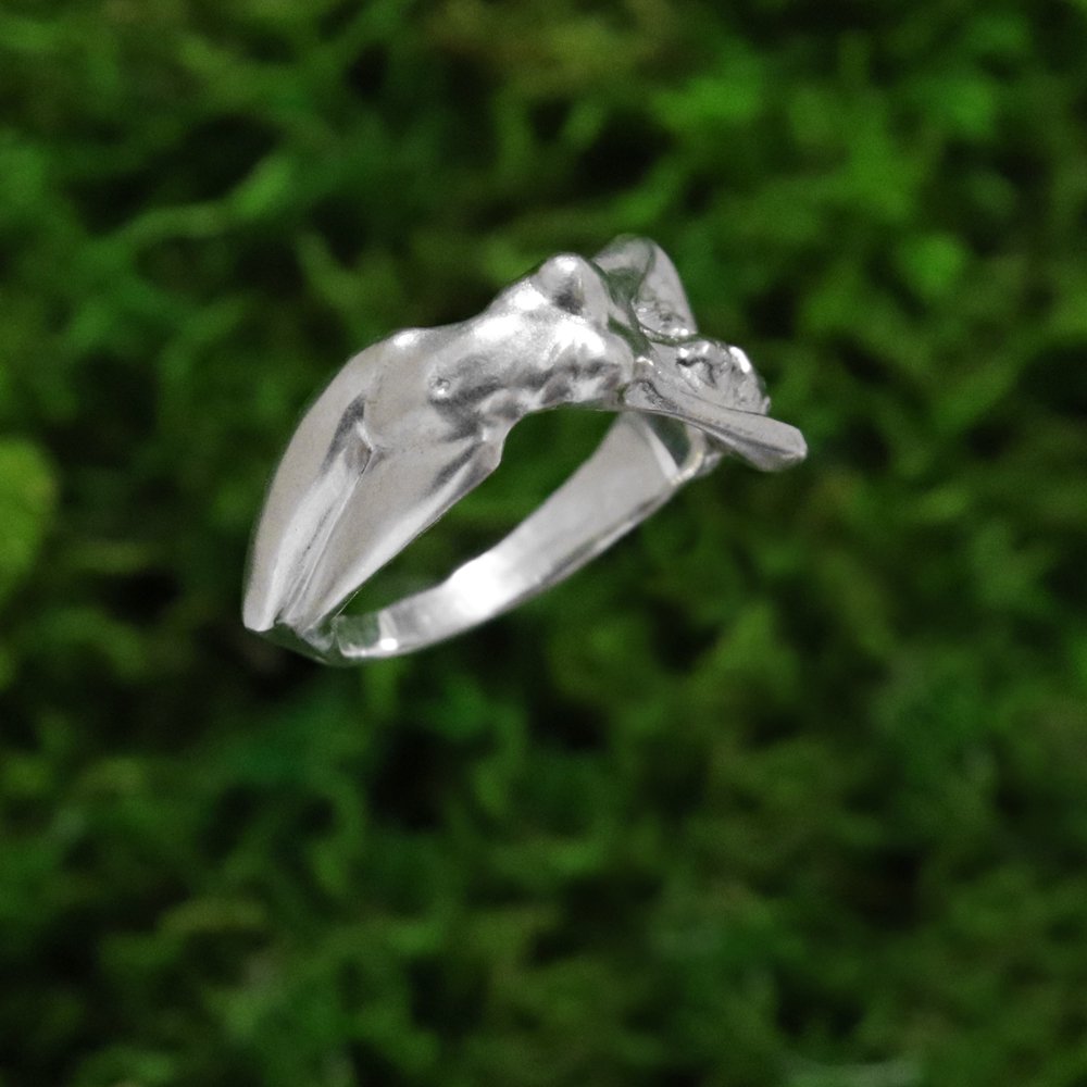 silver 925 sex ring 17号 セックスリング エロリング - リング