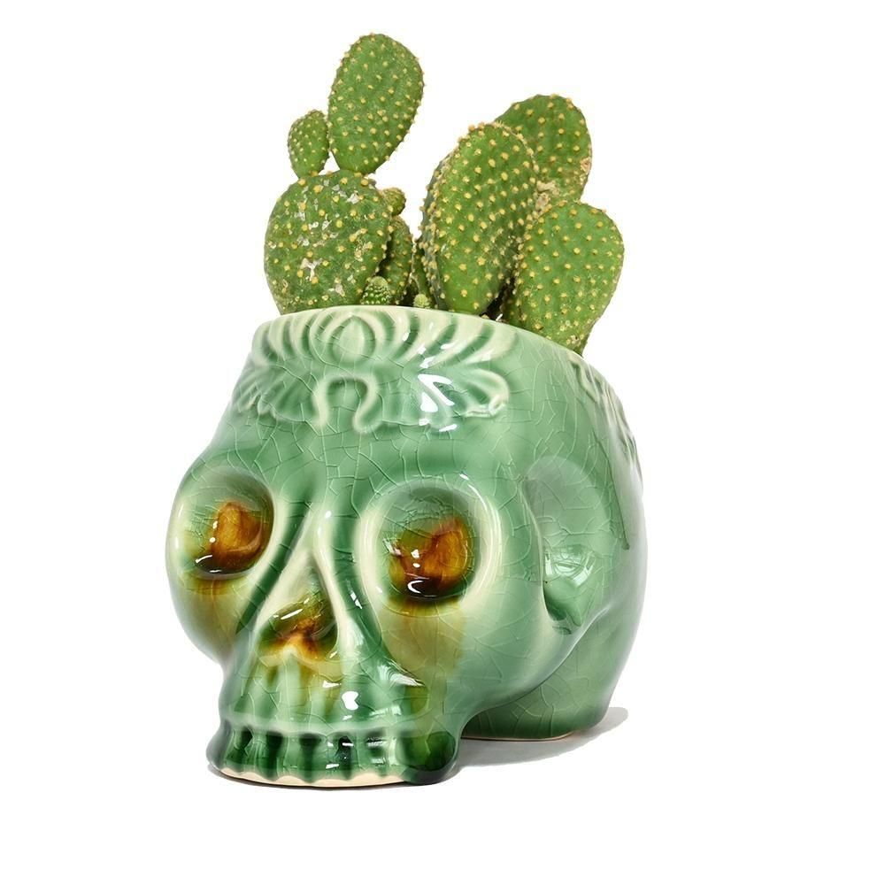 Skull Succulent Flower Pot