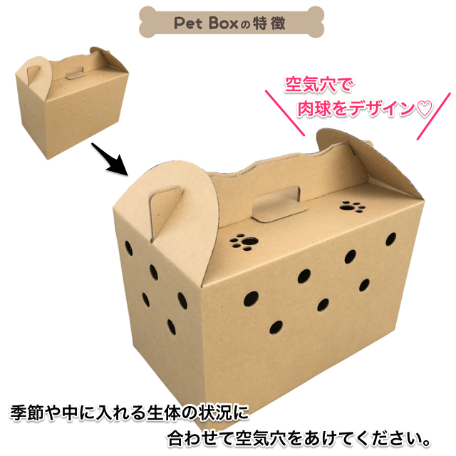 ペット ボックス 生体 販売