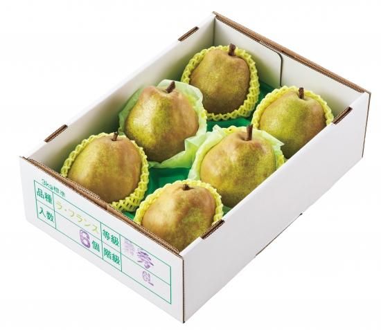 ラ フランス 3kg 大玉 6 7玉 6l 5l jaやまがたオンラインショップ さくらんぼ シャインマスカット ラフランス つや姫 jaの厳選した旬を産地直送 ラ フランス 3kg 大玉 6 7玉 6l 5l jaやまがたオンラインショップ さくらんぼ シャインマスカット ラフランス つや姫 jaの厳選した旬を産地直送