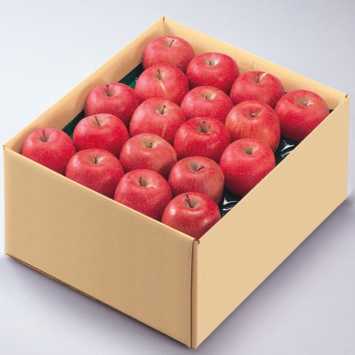 りんご　10キロ