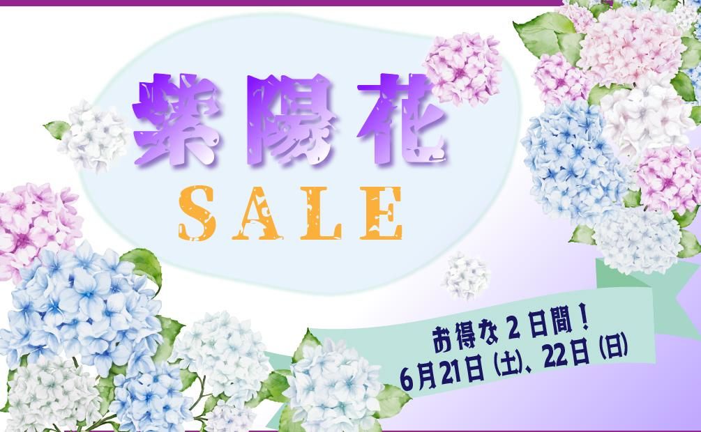 2025ǯ۲SALE2֤