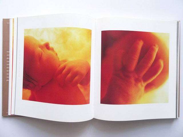 アン・ゲデスが撮影した赤ちゃんの写真集 - 洋書堂 ～おすすめの洋書のネット通販書店～