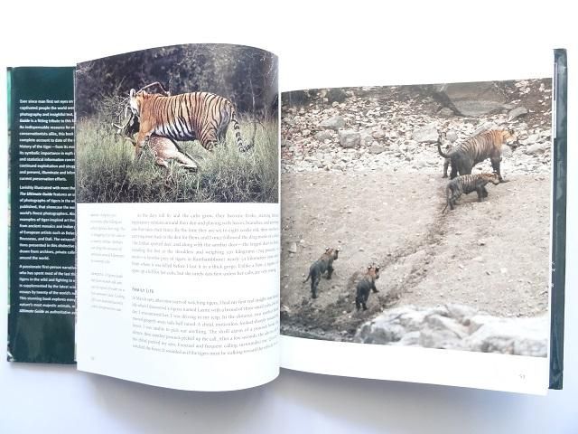 虎 トラ の写真集 洋書堂 おすすめの洋書のネット通販書店 虎 トラ の写真集 洋書堂 おすすめの洋書のネット通販書店