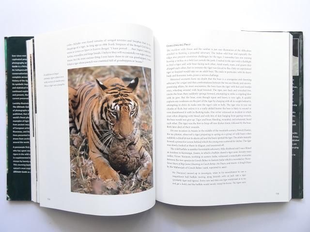 虎 トラ の写真集 洋書堂 おすすめの洋書のネット通販書店 虎 トラ の写真集 洋書堂 おすすめの洋書のネット通販書店