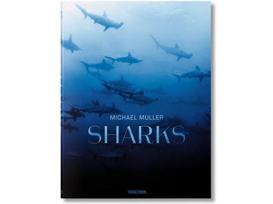 人気定番の 洋書◇サメの写真集 本 動物 ジョーズ 鮫 洋書 