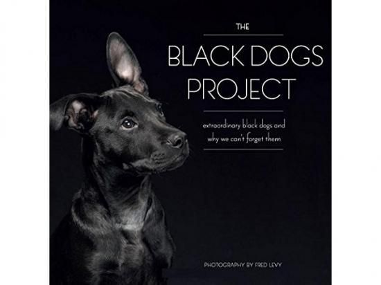 黒い犬の写真集 洋書堂 おすすめの洋書のネット通販書店 黒い犬の写真集 洋書堂 おすすめの洋書のネット通販書店