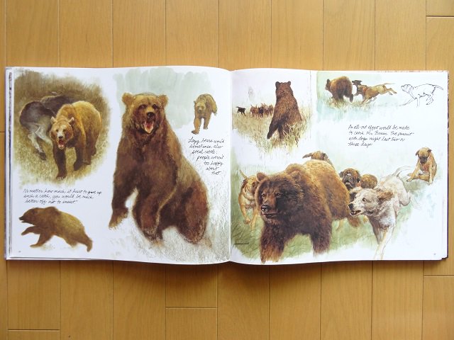 氷河期への旅 野生のマンモスと他の動物たち - 洋書堂 ～おすすめの洋書のネット通販書店～