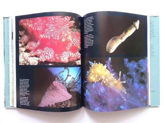 海の写真集 - 洋書堂 ～おすすめの洋書のネット通販書店～