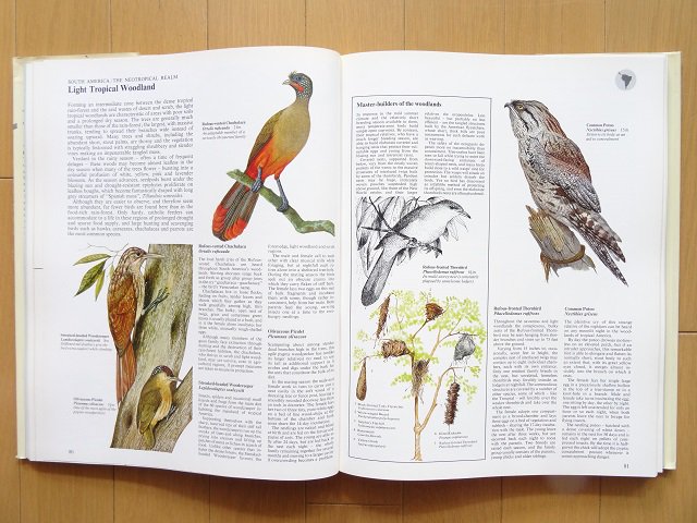 世界鳥類大図鑑、世界動物大図鑑セット - その他