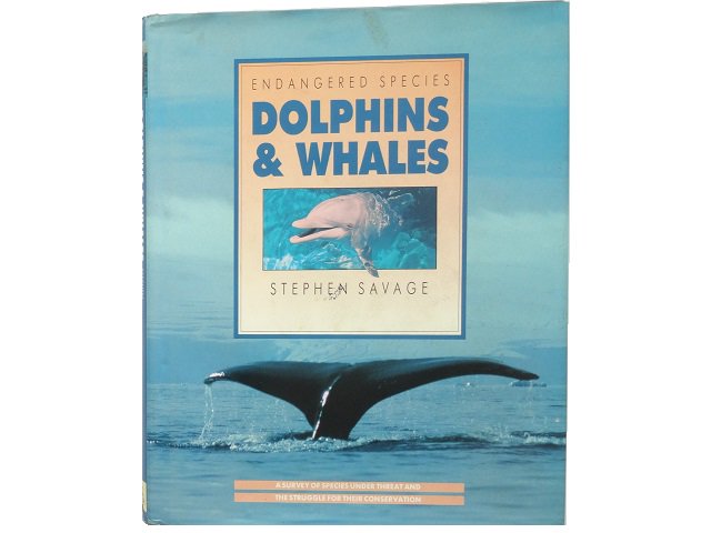 イルカとクジラの写真集 洋書堂 おすすめの洋書のネット通販書店