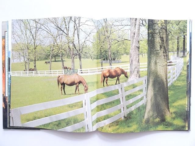 アメリカの風景写真集 - 洋書堂 ～おすすめの洋書のネット通販書店～