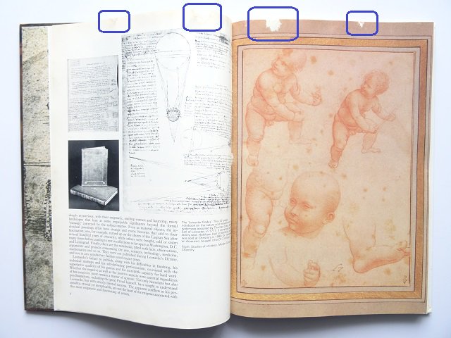 レオナルド・ダ・ヴィンチ画集 作品写真集   洋書堂 ～おすすめの洋書