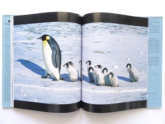 皇帝ペンギン写真集 洋書堂 おすすめの洋書のネット通販書店