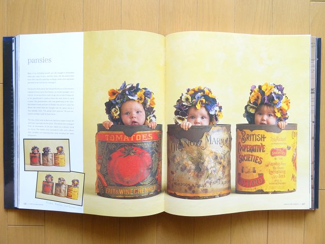 アン・ゲデス 赤ちゃん写真集 - 洋書堂 ～おすすめの洋書のネット通販 