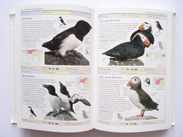 限定品】 希少！1986年 可愛い鳥のイラストが満載のウクライナの鳥図鑑 