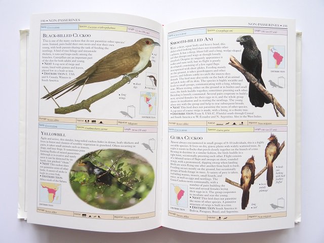 英国鳥類図鑑 全8巻 モリス 1863-67 - 版画