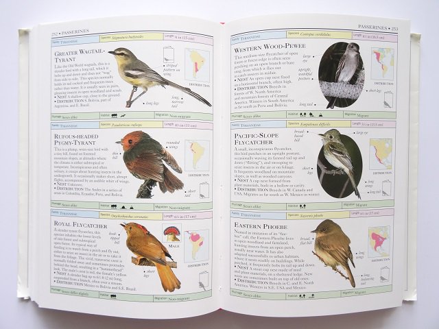 NATURE GUIDE『Brids of the world』洋書 鳥図鑑 - 通販 - nutriplanet.org