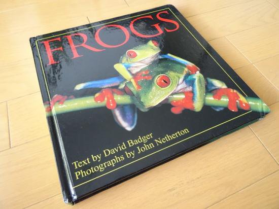 世界のカエル写真集 洋書堂 おすすめ洋書の通販 Frogs