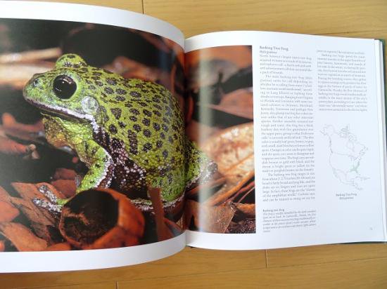 世界のカエル写真集 洋書堂 おすすめ洋書の通販 Frogs