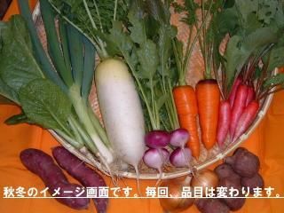 㤢椭̾νڤεءڲѡ