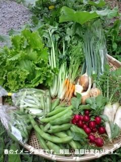 �����椭�̾�ν���ڥ��å�