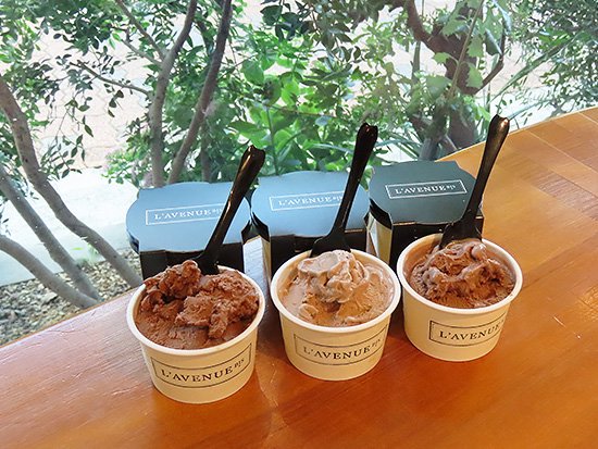 GLACE ET SORBET《CHOCOLAT》6PIECE グラス エ ソルベ《ショコラ》 - 神戸北野の洋菓子・スイーツ・チョコレートのお店  L'AVENUE（ラヴニュー）のオンラインショップ｜L'AVENUE Boutique En Ligne