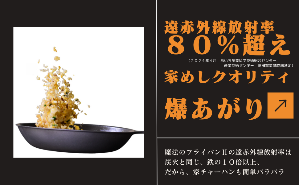 ˡΥե饤ѥǥѥѥ㡼ϥ