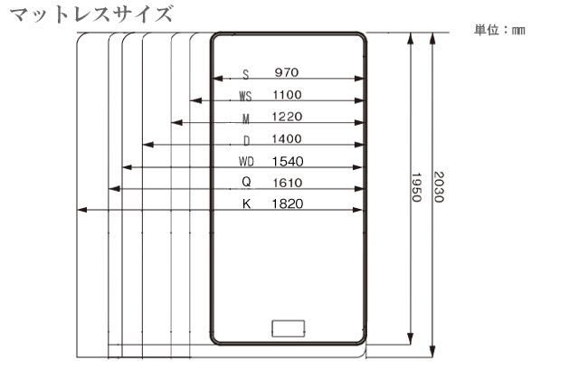 サイズ