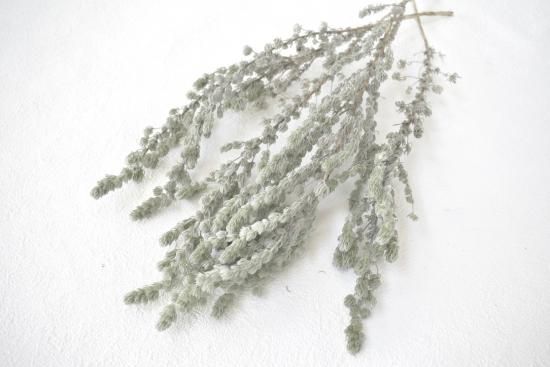 アルテミシア ドライフラワーショップ Flower Deco アルテミシア ドライフラワーショップ Flower Deco