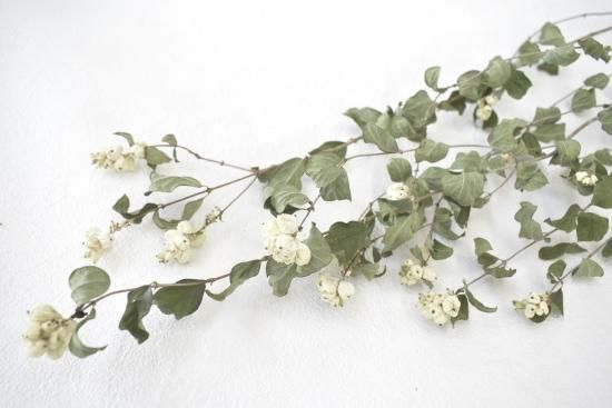 リカルメ花歩 AZONE INTERNATIONAL::Iris Collect Petit::商品紹介-商品詳細