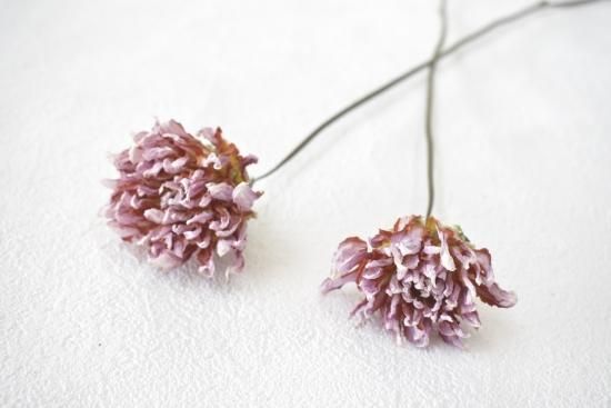 ダリアナマハゲマジック ドライフラワーショップ Flower Deco ダリアナマハゲマジック ドライフラワーショップ Flower Deco