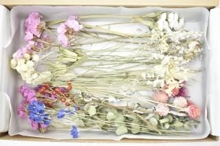 アソート - ドライフラワーショップ FlowerDeco