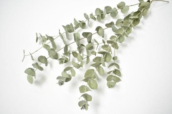 Blue green ネイティブフラワーと銀世界静かな森のスワッグ48cm