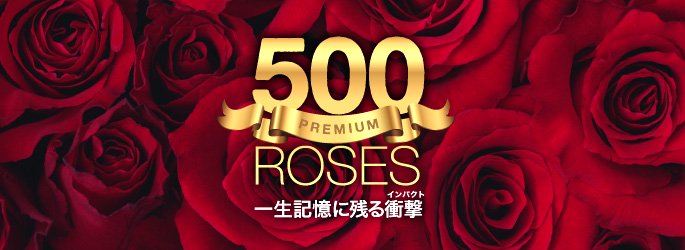 赤いバラ500本のスタンド花