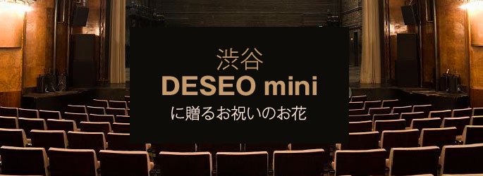 ֥ǥߥ DESEO mini with VILLAGE VANGUARDפã뤪ˤΤ