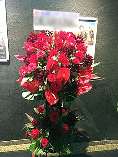 新宿ブレイズ BLAZEに配達した公演祝いのスタンド花