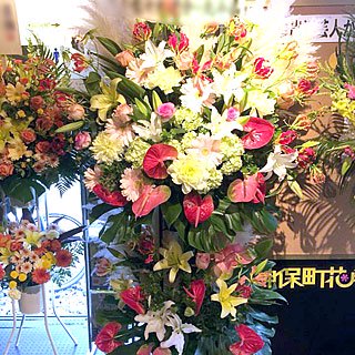 神保町花月に配達した公演祝いのスタンド花
