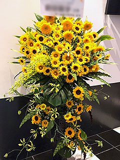 品川プリンスホテル ステラボール・クラブexに配達した公演祝いのスタンド花