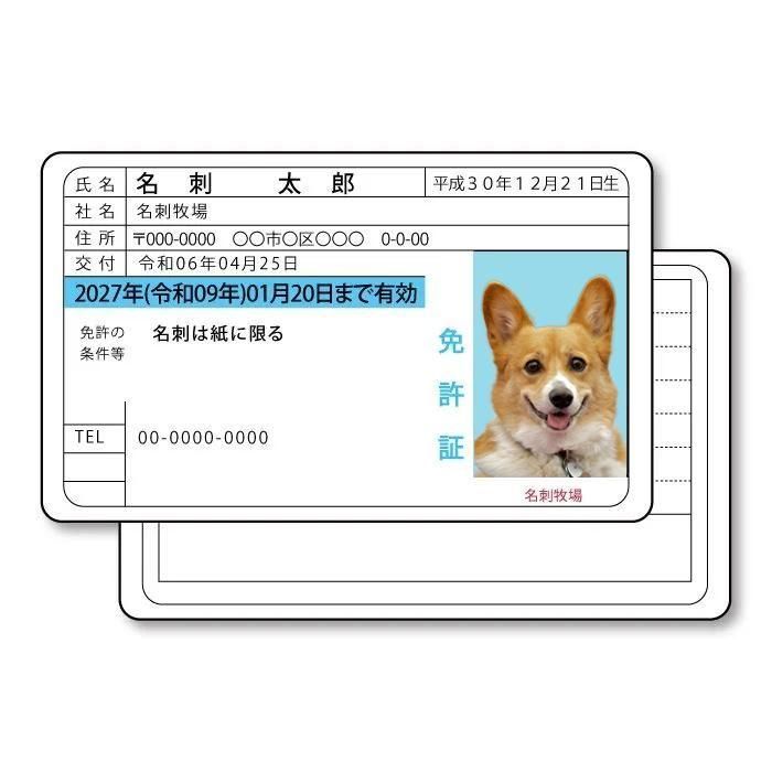 ȵڷ̾