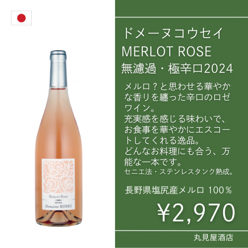 ɥ᡼̥ MERLOT ROSE  ̵ɲᡦ˿ɸ2024