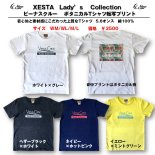 <img class='new_mark_img1' src='https://img.shop-pro.jp/img/new/icons1.gif' style='border:none;display:inline;margin:0px;padding:0px;width:auto;' />VC ボタニカルTシャツ