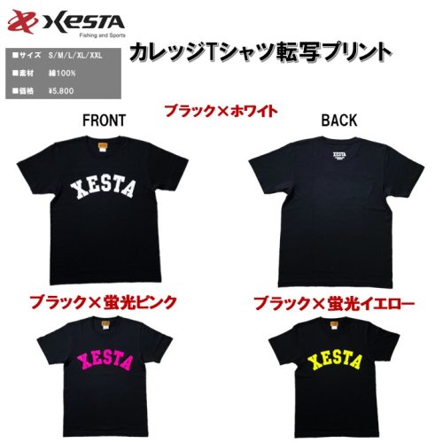 カレッジTシャツ 転写プリント(オンラインショップ限定) - XESTA ...