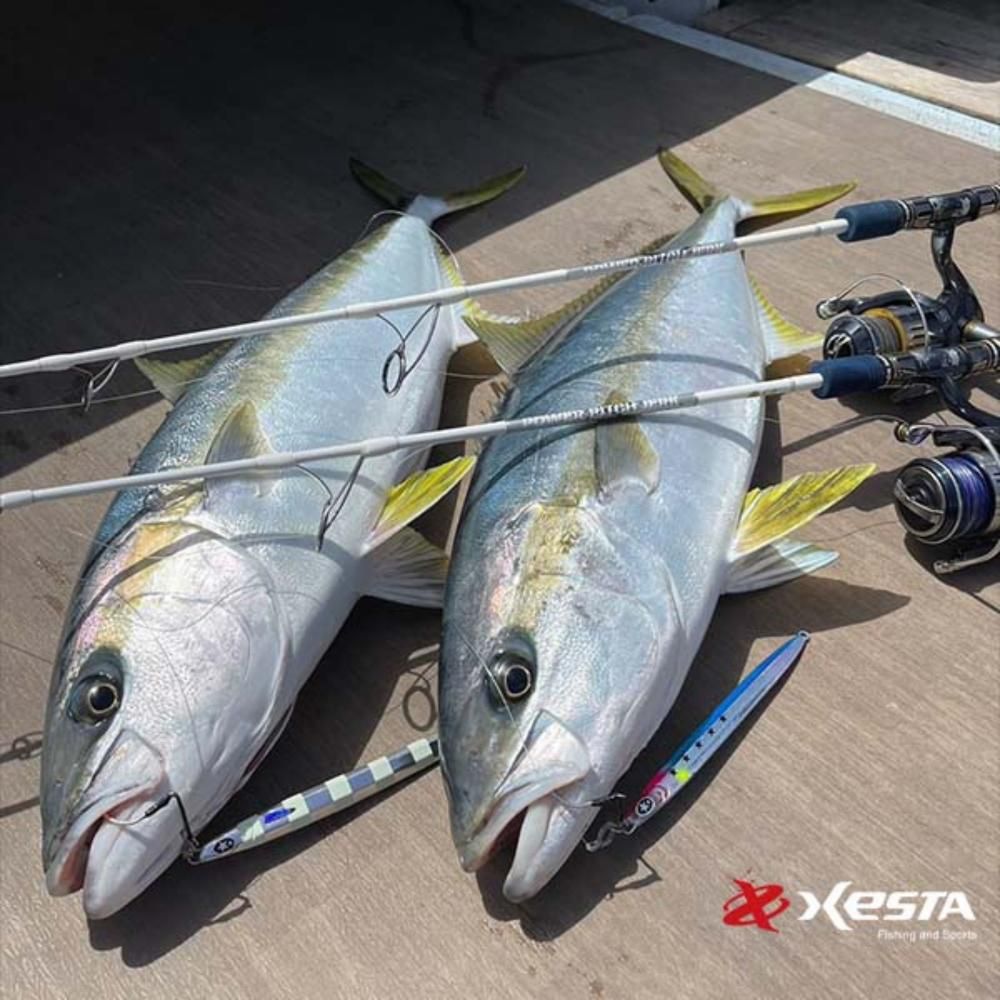 ニトロロング - NITRO LONG | 80g〜220g - XESTA ONLINE SHOP
