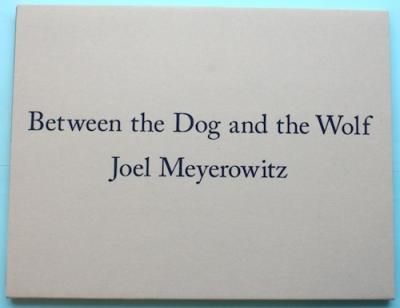 Between the Dog and the WolfJoel Meyerowitz票롦ޥ䡼å