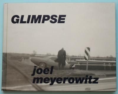 GLIMPSEJoel Meyerowitz票롦ޥ䡼å