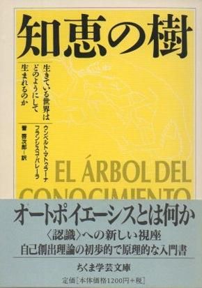 知恵の樹 ちくま学芸文庫 - 東京 下北沢 クラリスブックス 古本