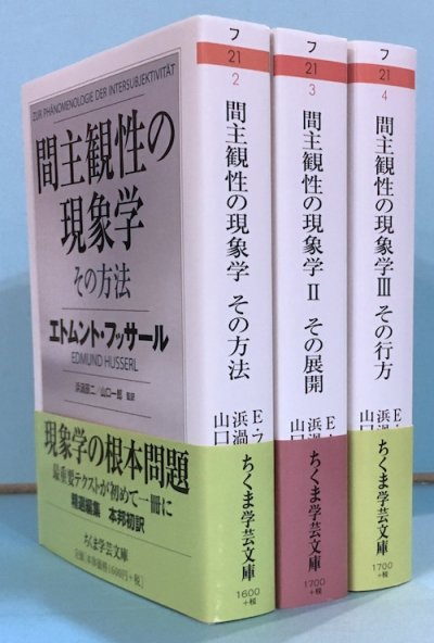 間主観性の現象学 3冊揃-siegfried.com.ec