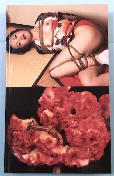 ֶHANA KINBAKUڷа