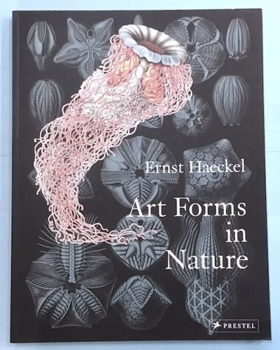 Art Forms in NatureErnst Haeckel󥹥ȡإå